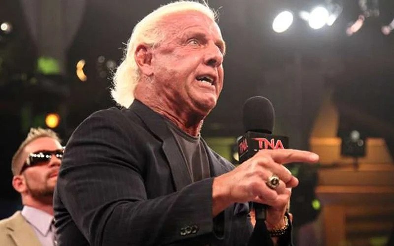 Ric Flair TNA