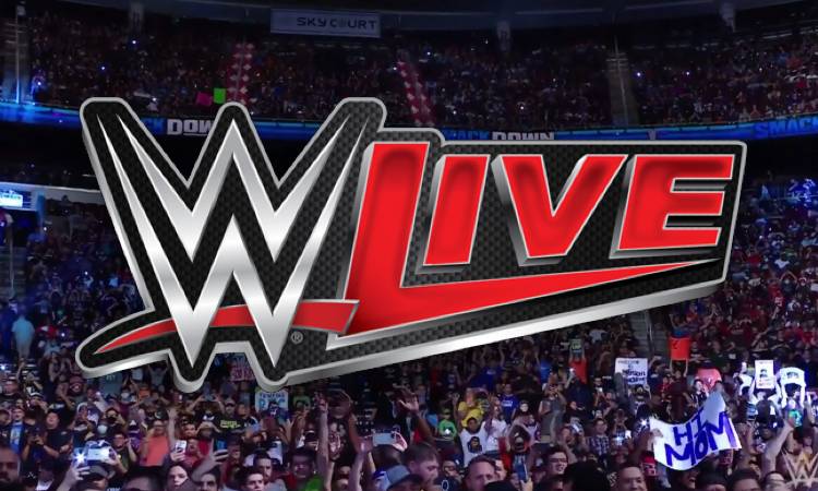 WWE Logo Live House Show