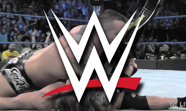 WWE Logo Pin