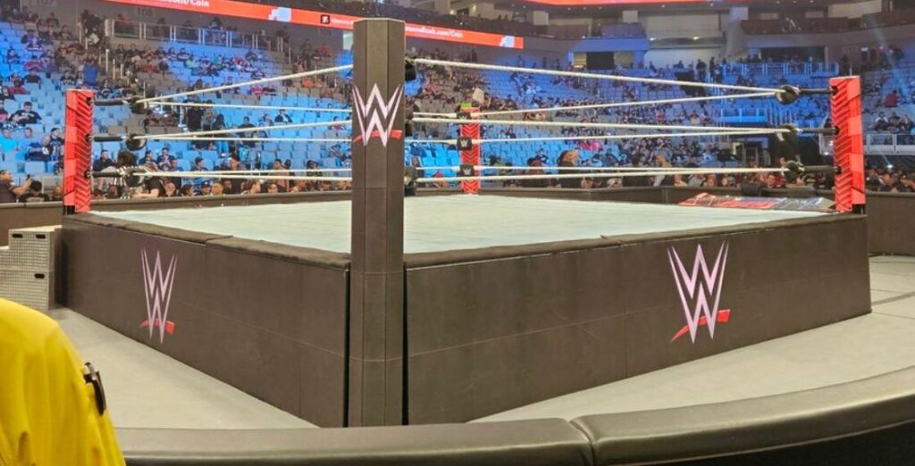 Pareja de la WWE podría separarse después de 9 años WWE Ring