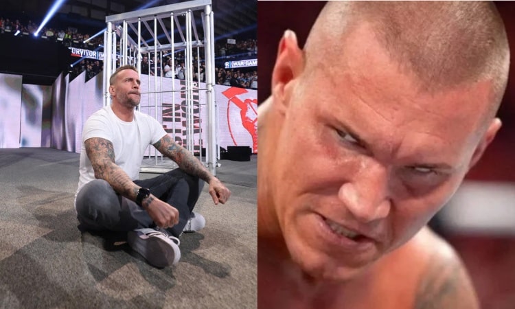 Orton Punk