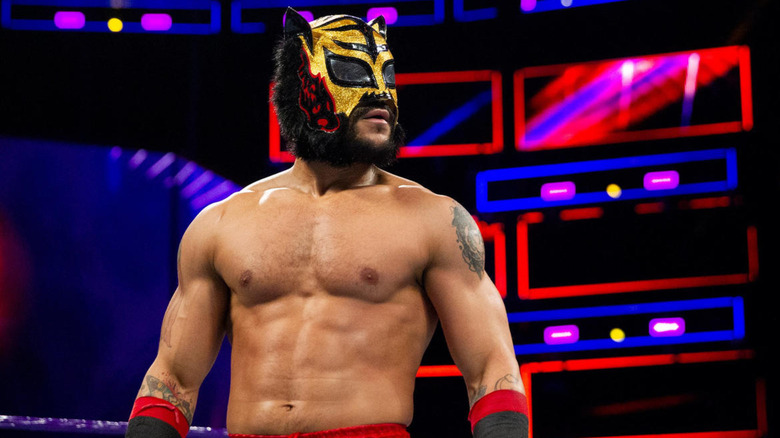 Lince Dorado