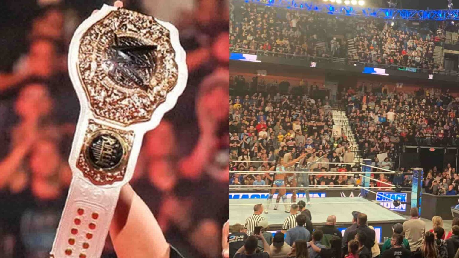 Otra campeona de WWE es obligada a abandonar su título debido a lesión WWE Fans title