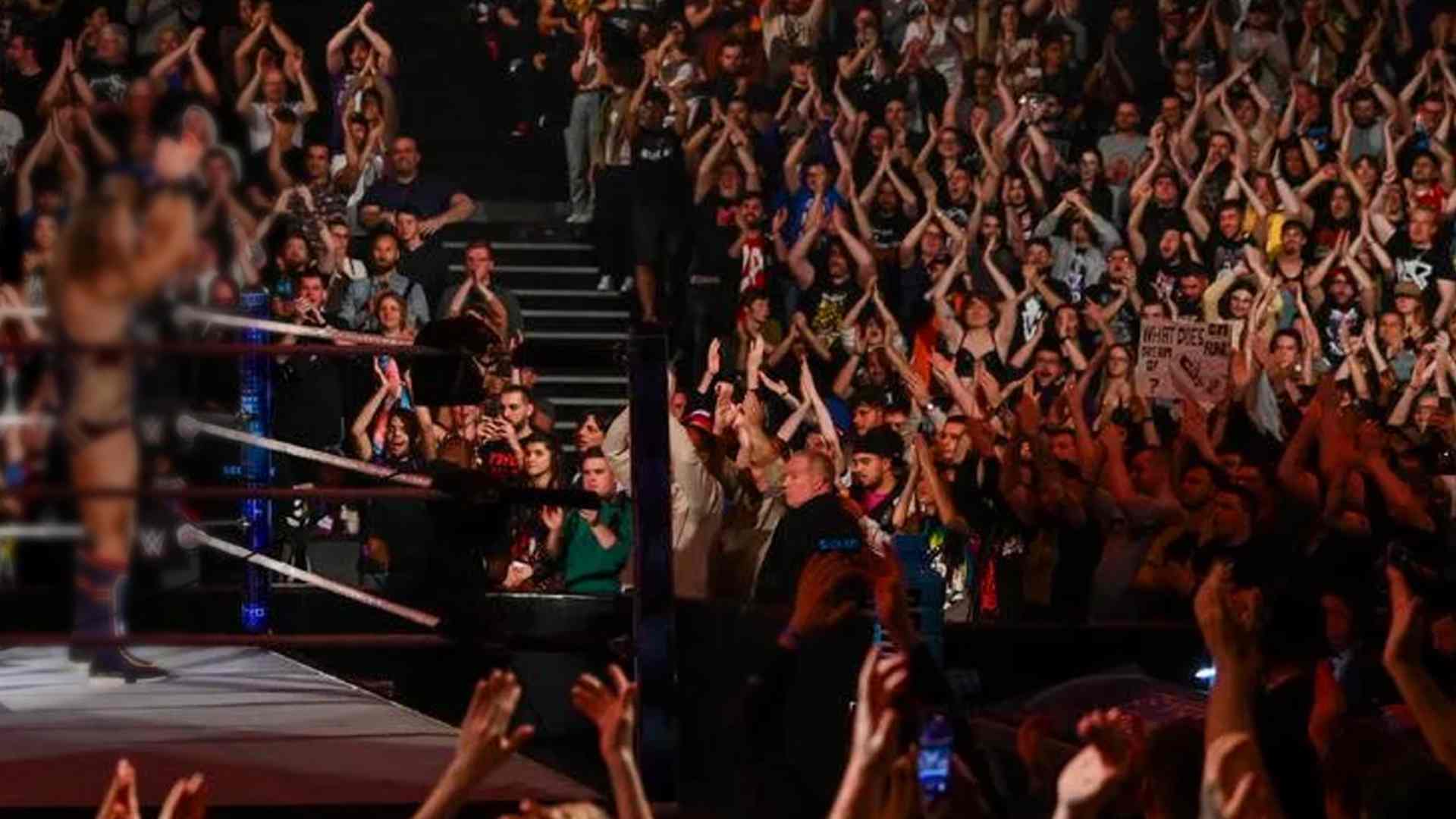 WWE Crowd