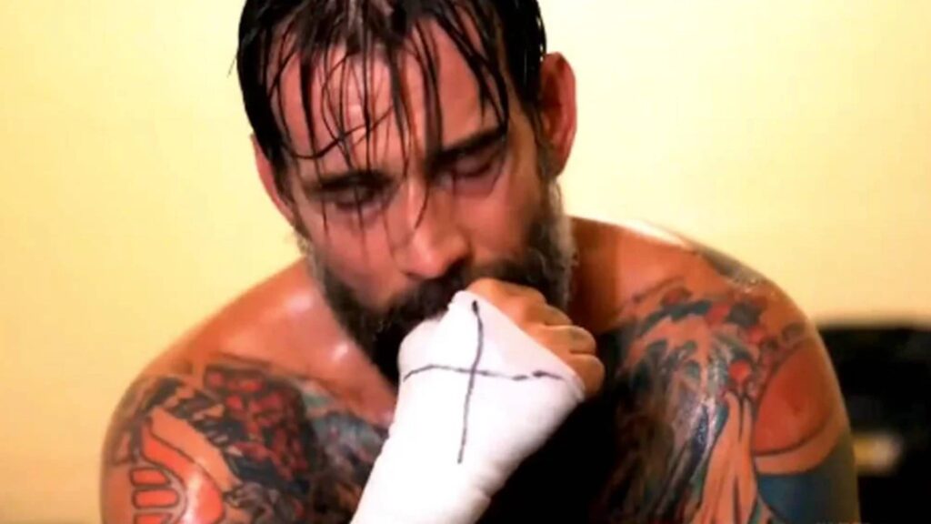 CM punk