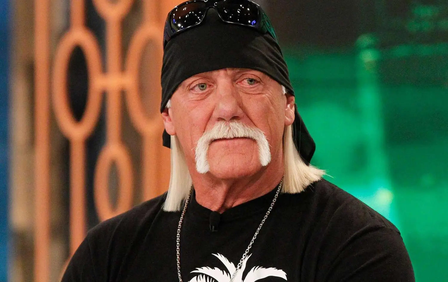 Hulk Hogan