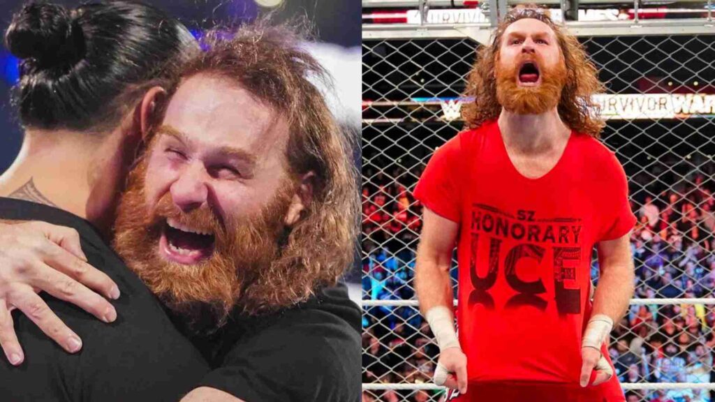 Saqmi Zayn y Roman Reigns