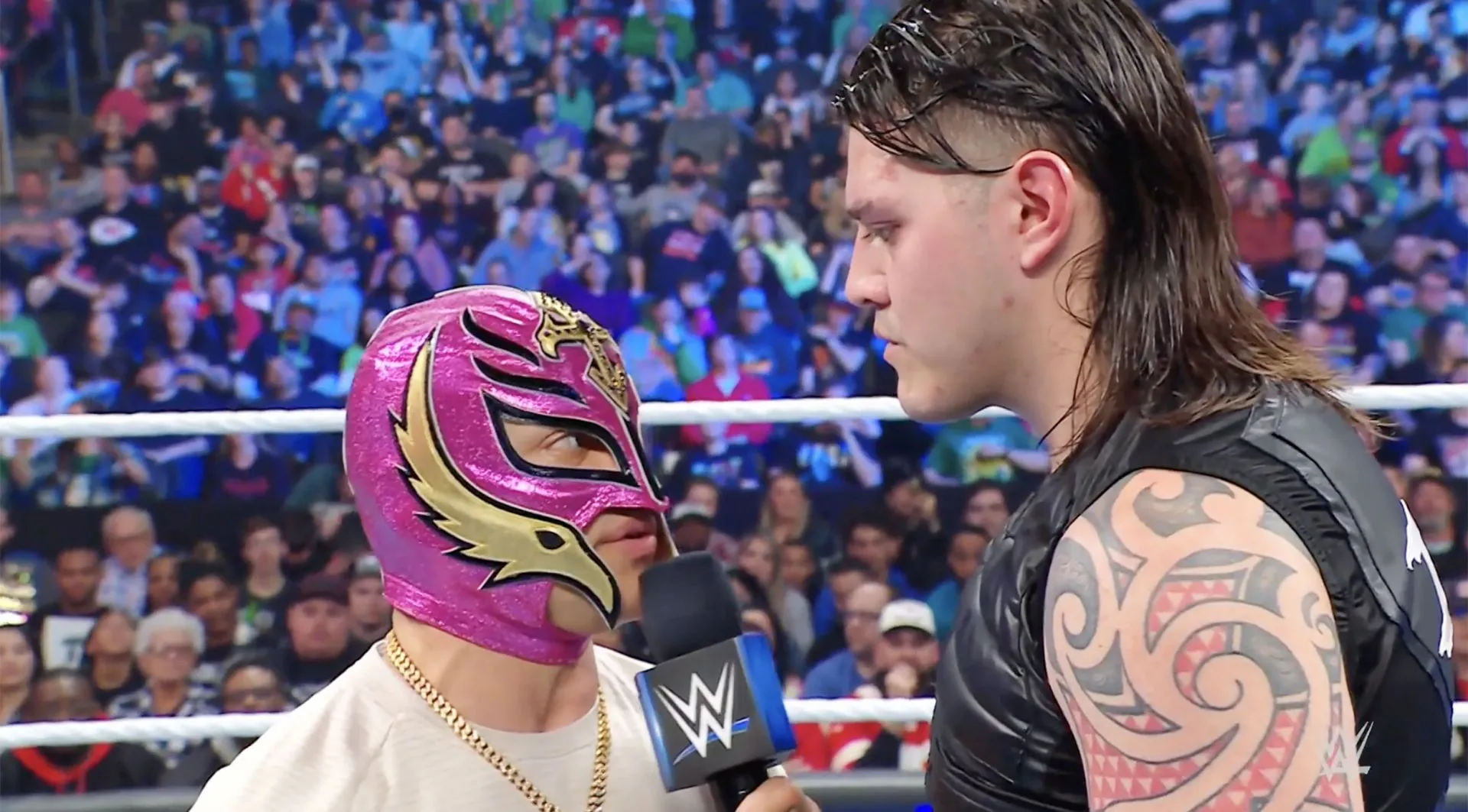 Mysterio dominik