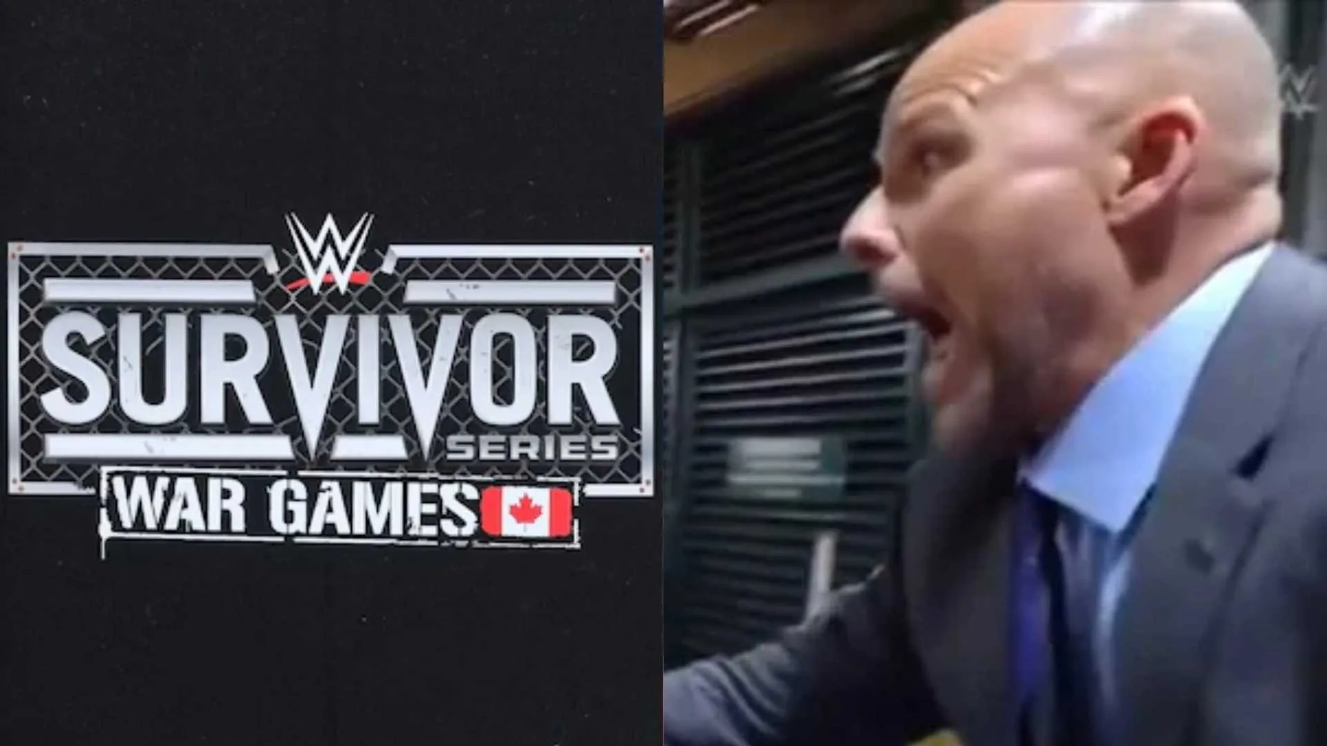 Survivor SEries
