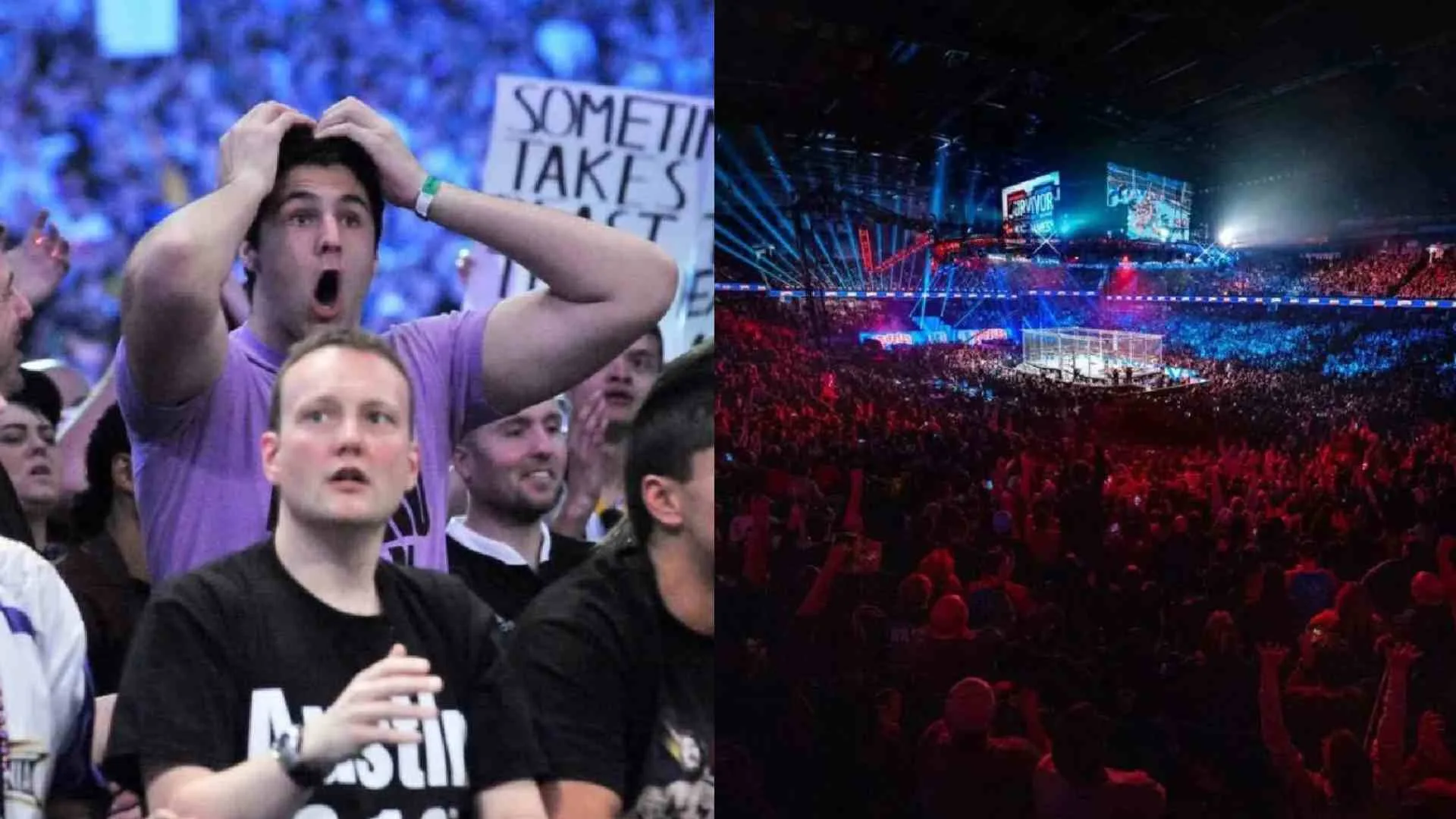 wwe fans