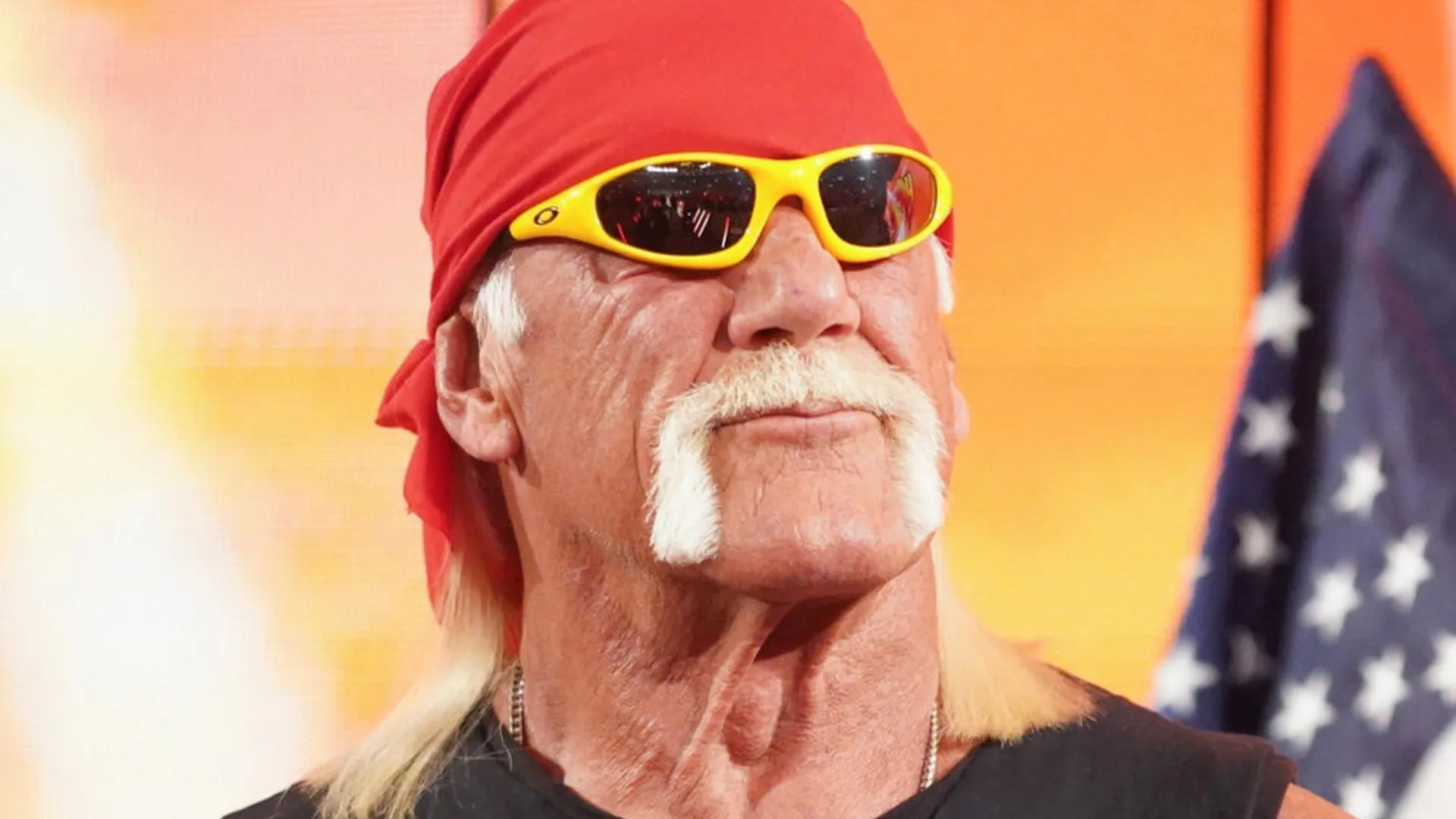 Hulk Hogan