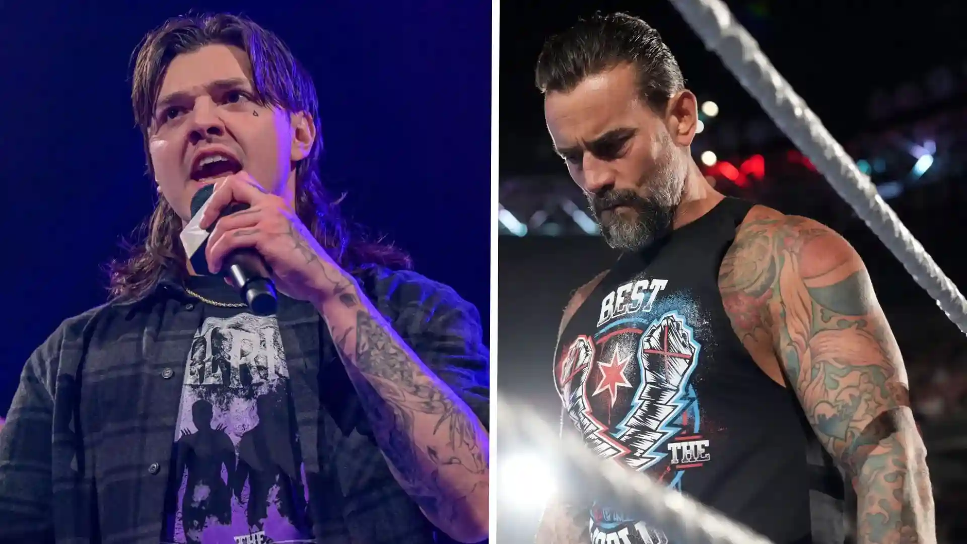Dominik y Punk