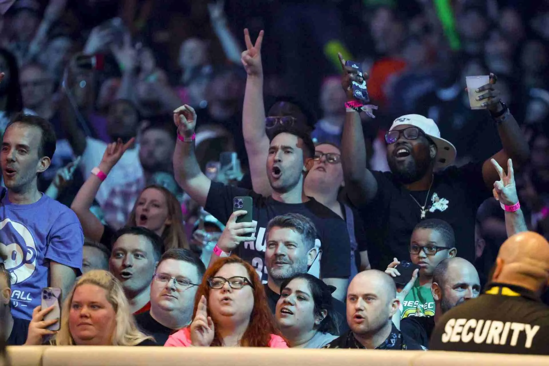 WWE Fans