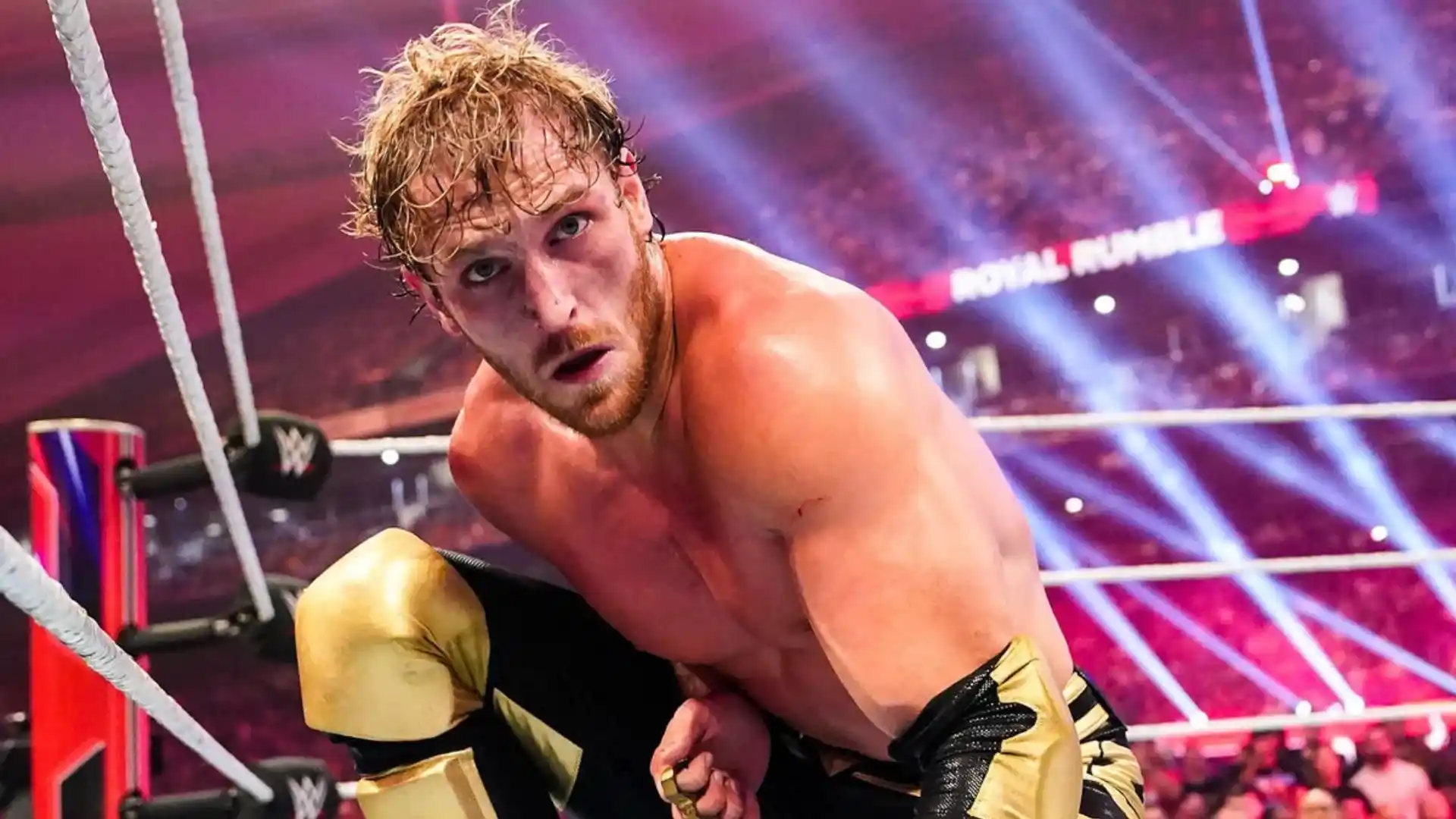 Logan Paul Chamber