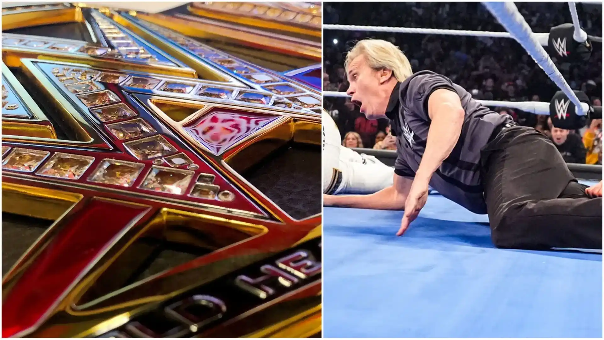 WWE Ref