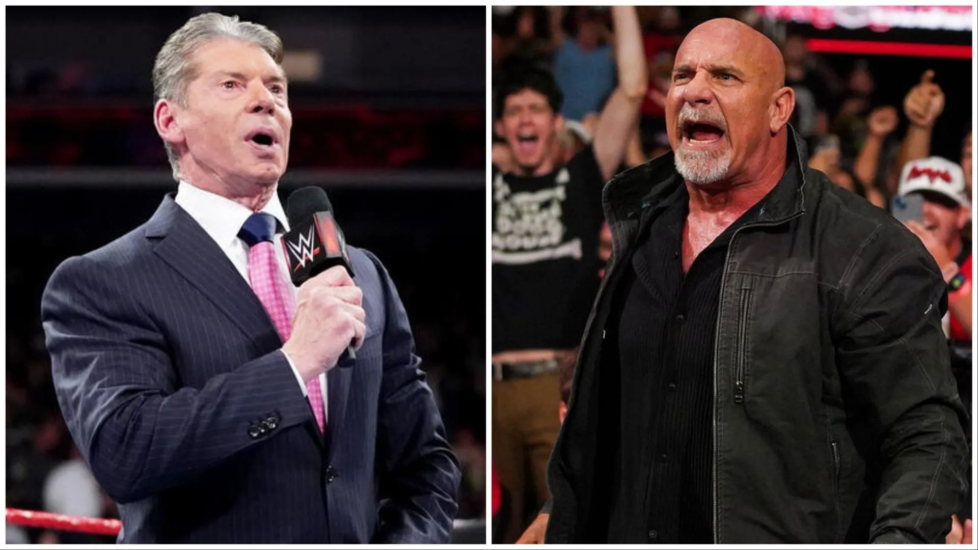 Goldberg Vince