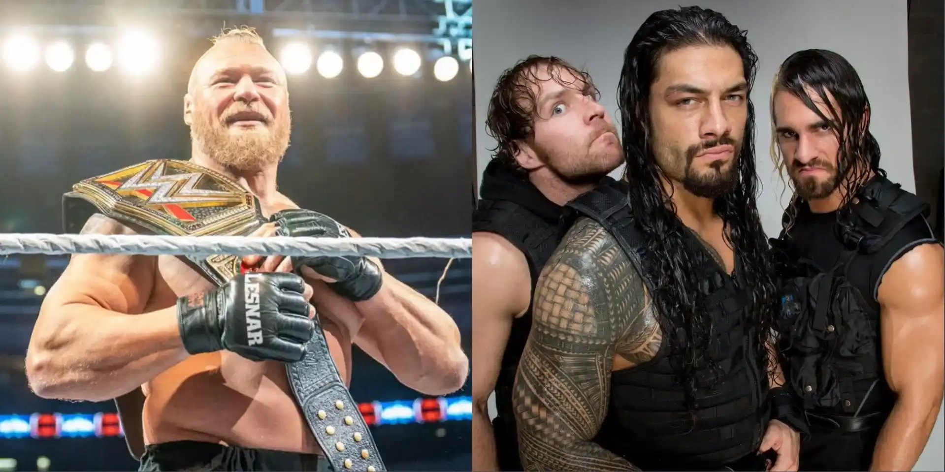 lesnar Shield