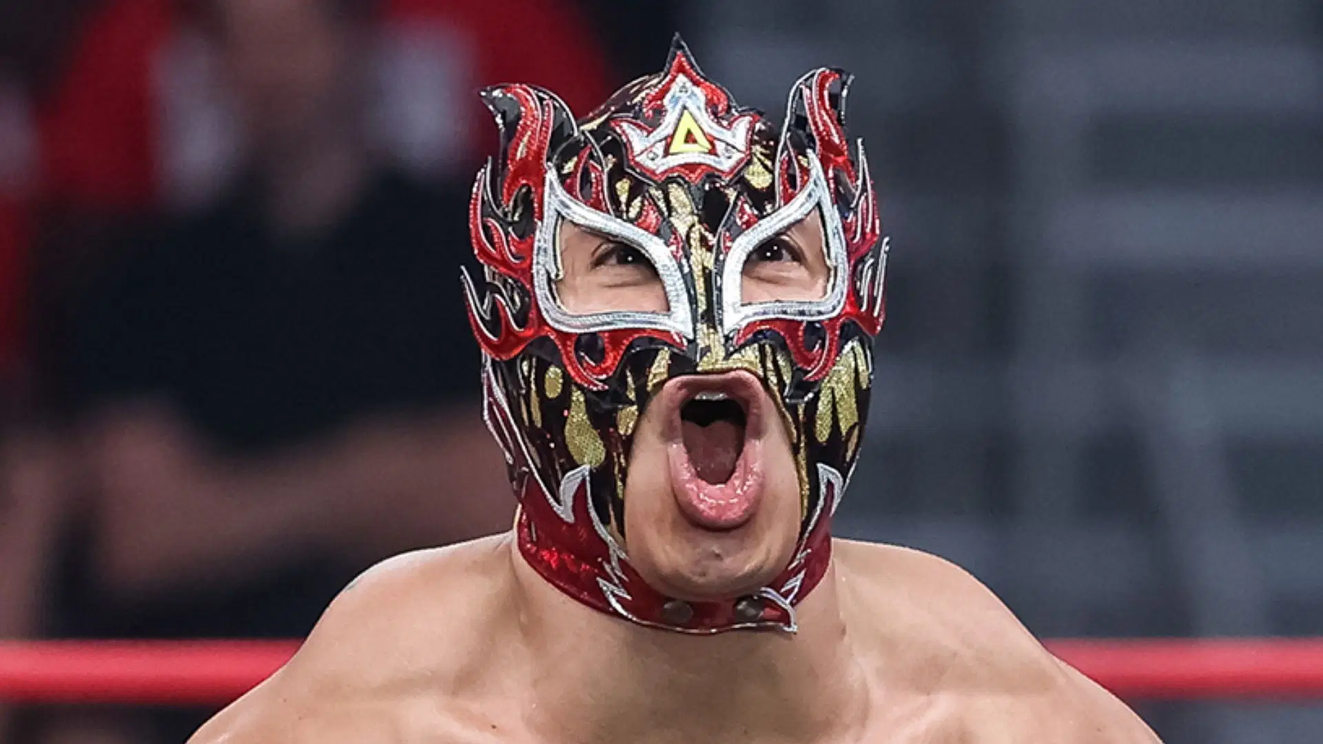 Rey Fenix