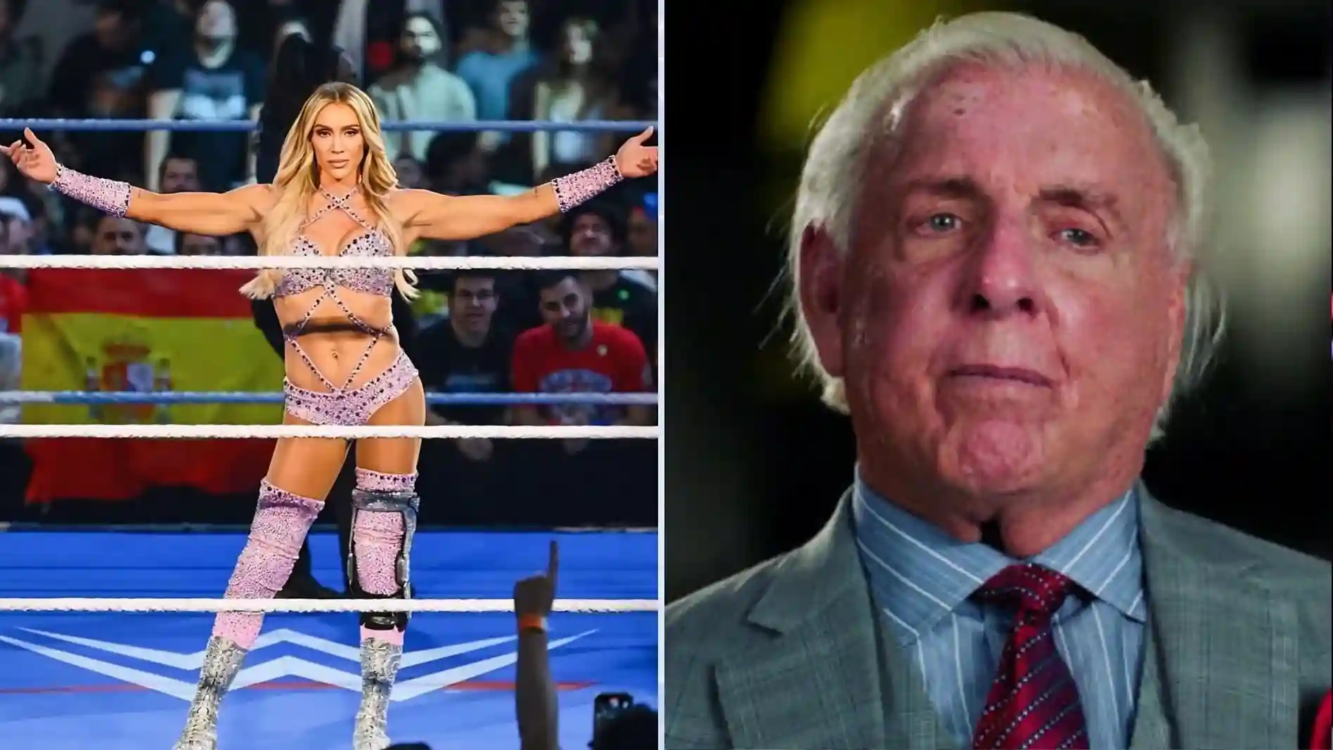 Ric Flair Charlotte