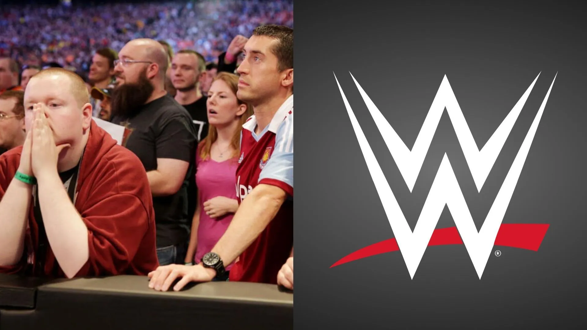 WWE Fans