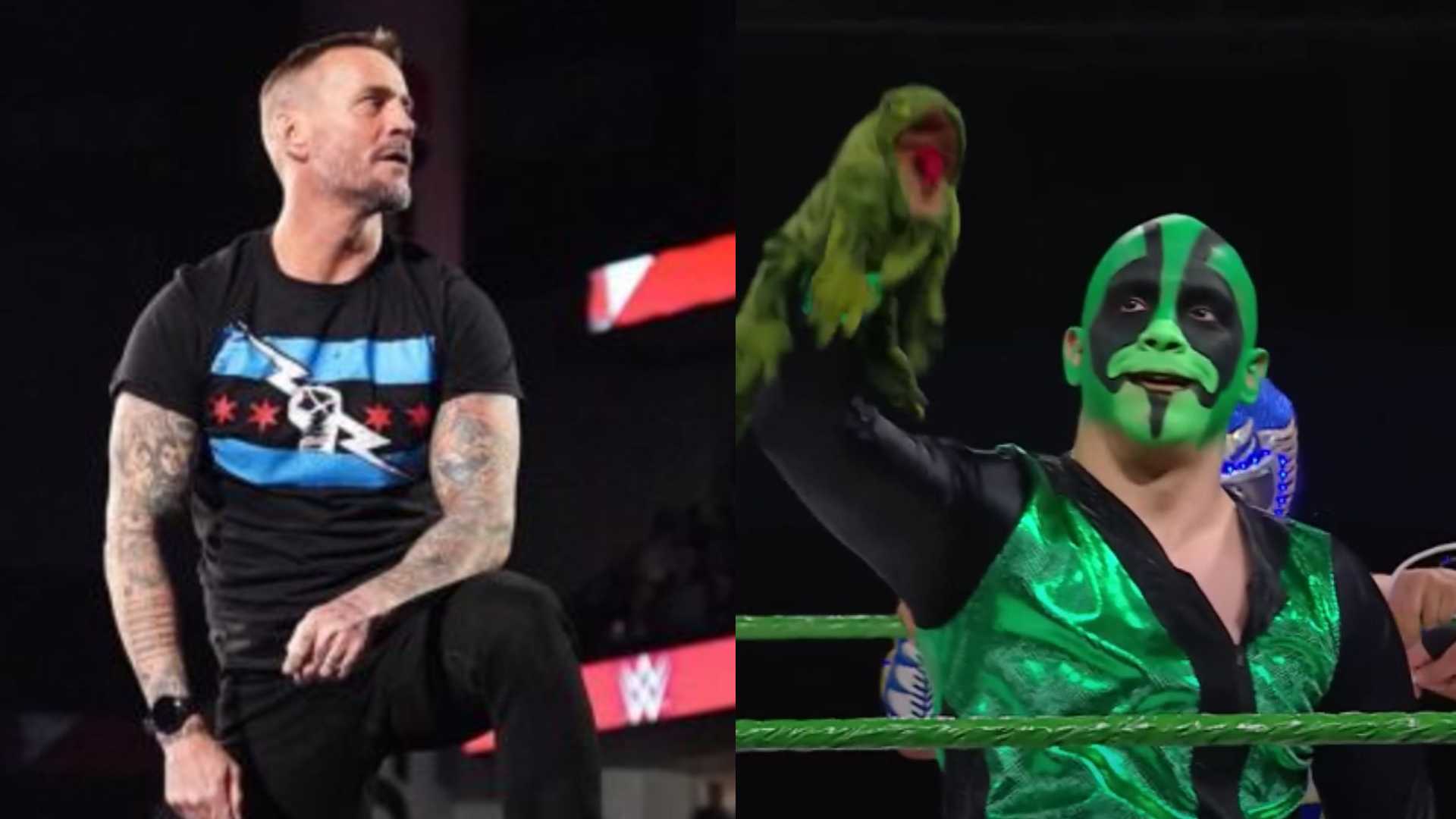 CM Punk Iguana