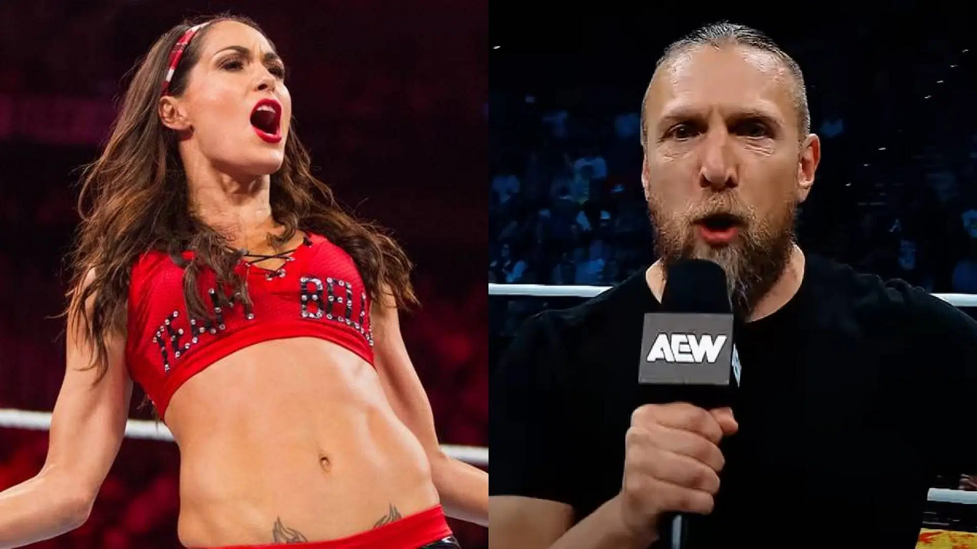 Brie y Bryan