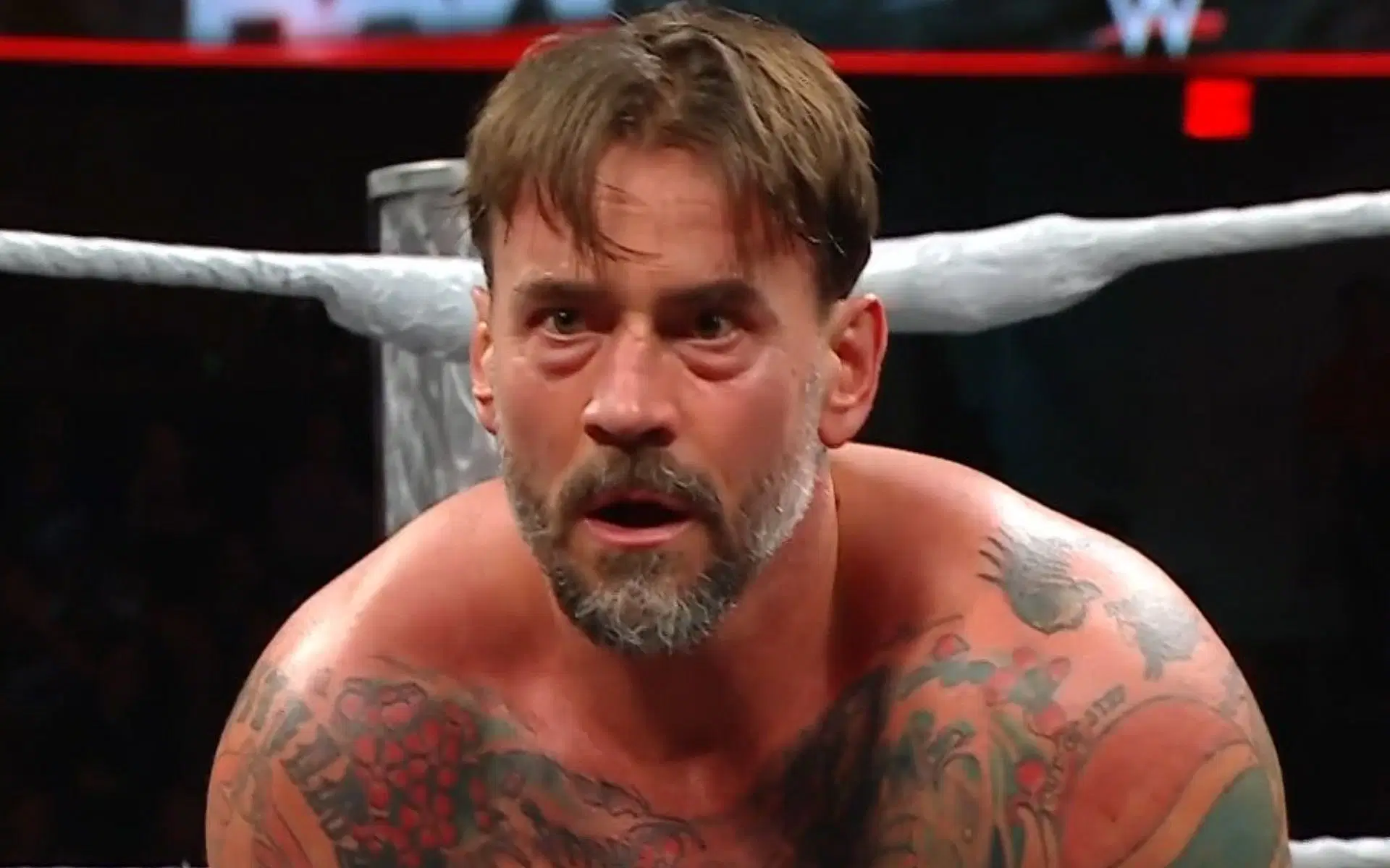CM Punk