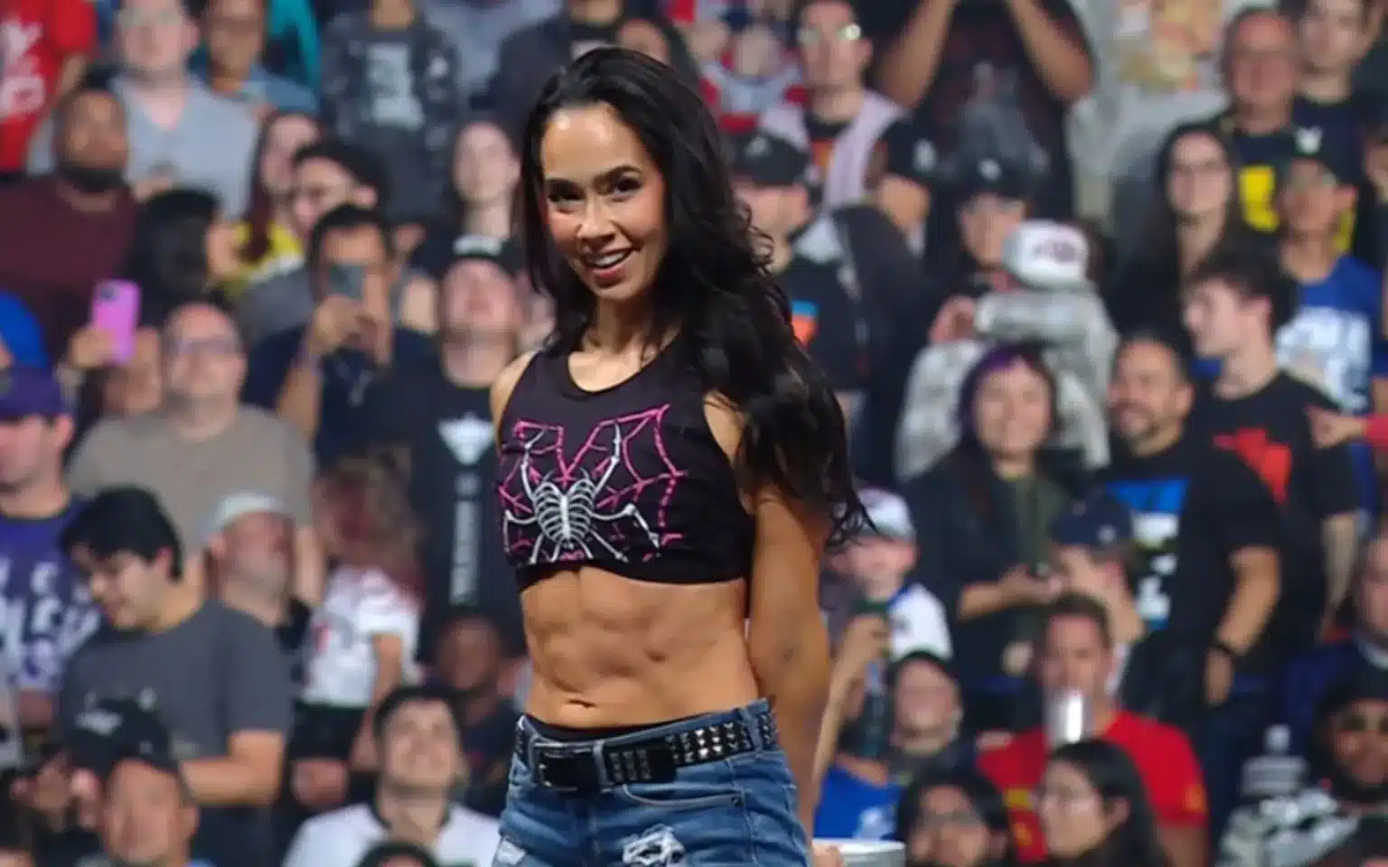 AJ Lee revela el verdadero motivo de su actual ausencia en la WWE AJ lee