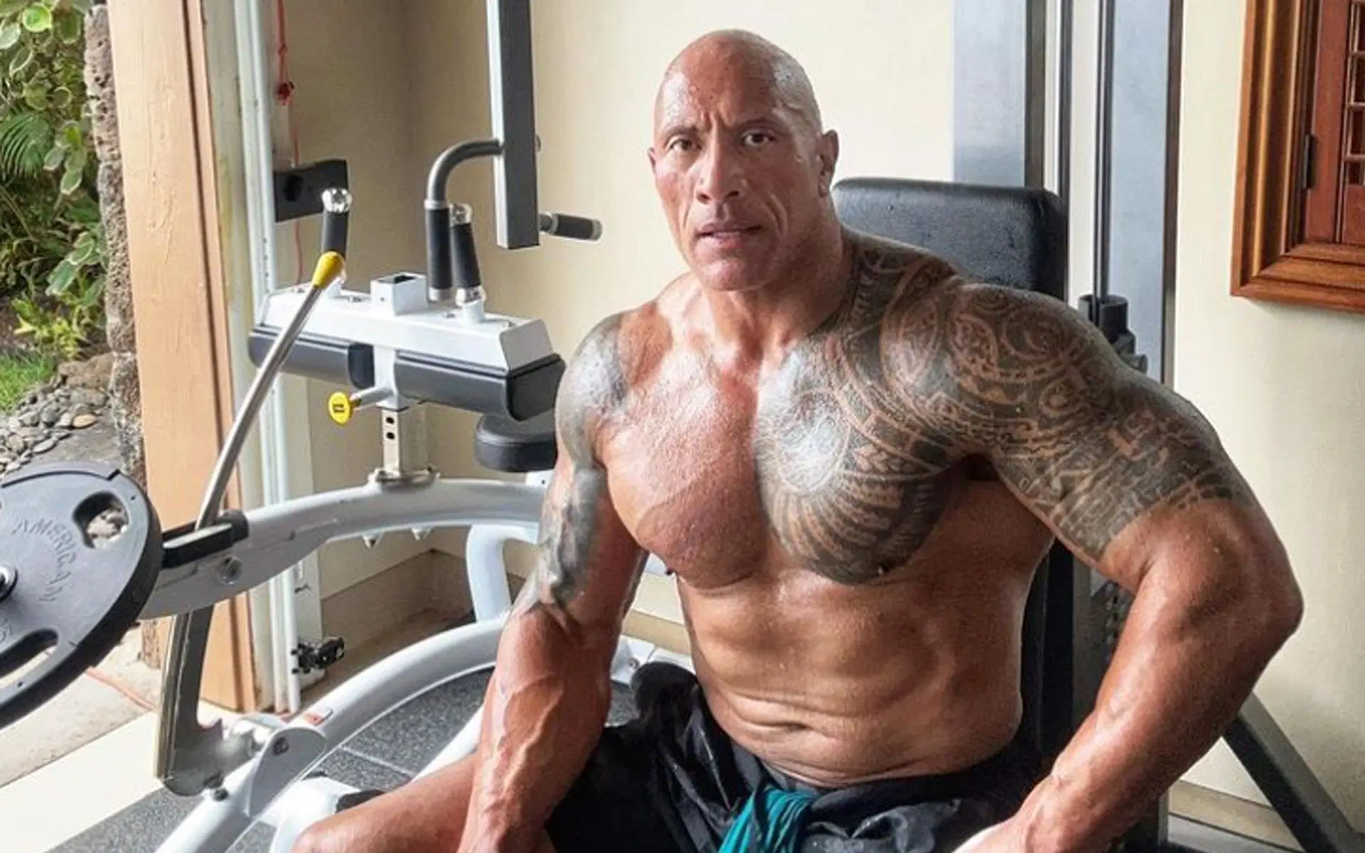 The Rock