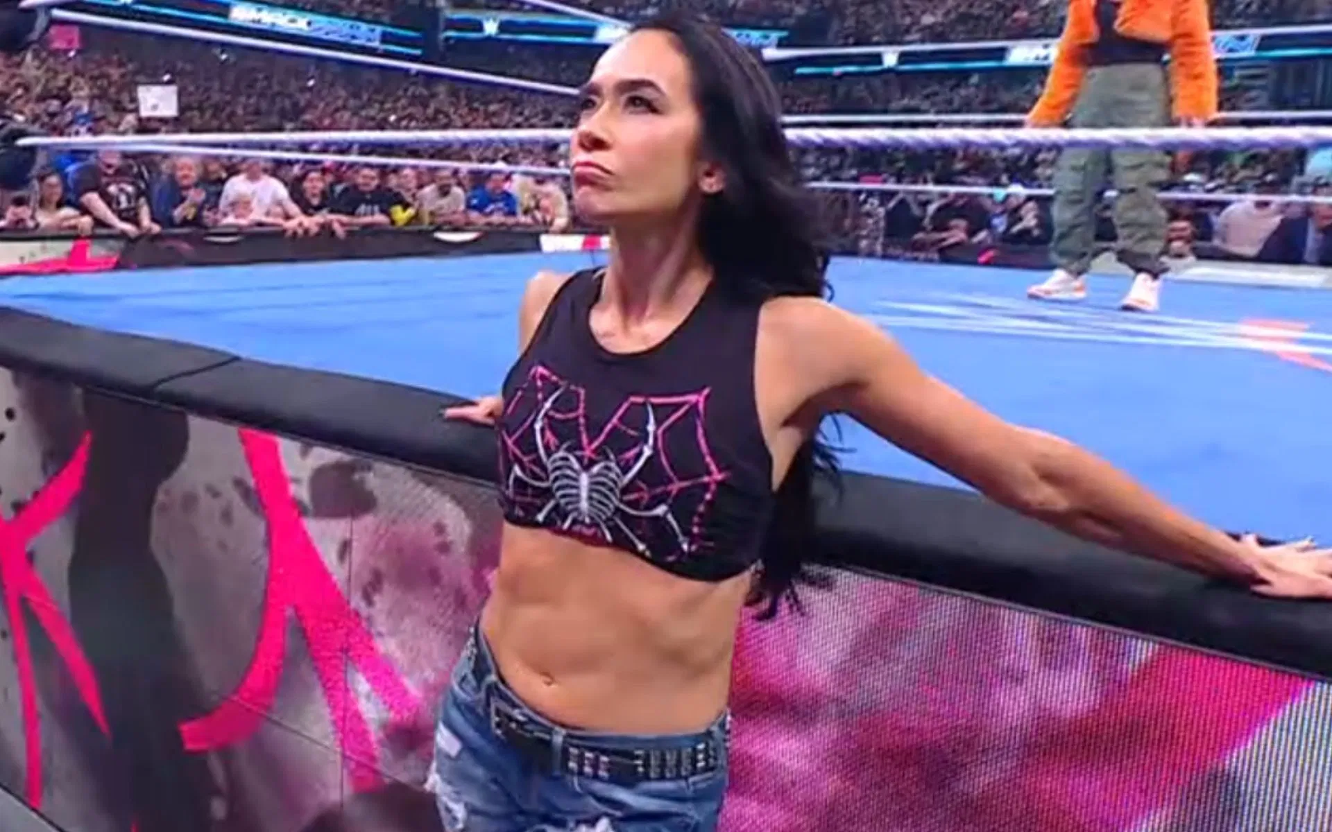 Triple H podría verse obligado a posponer el regreso de AJ Lee a la WWE