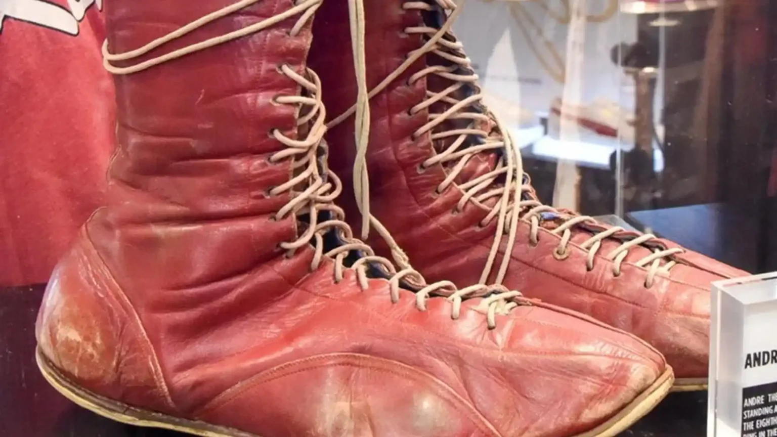 Otra leyenda de la lucha libre se retira después de John Cena a los 62 años Boots retiro