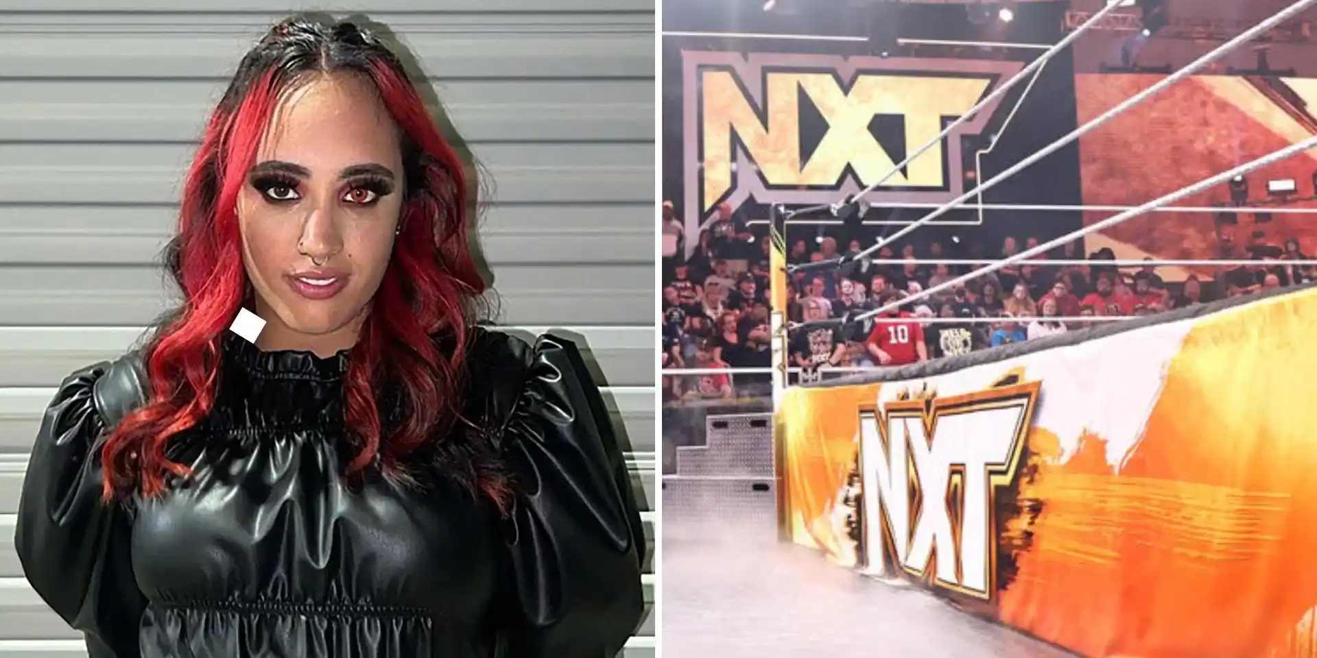 ¿Quién será el reemplazo de Ava en NXT? 2 opciones interesantes Ava NXT