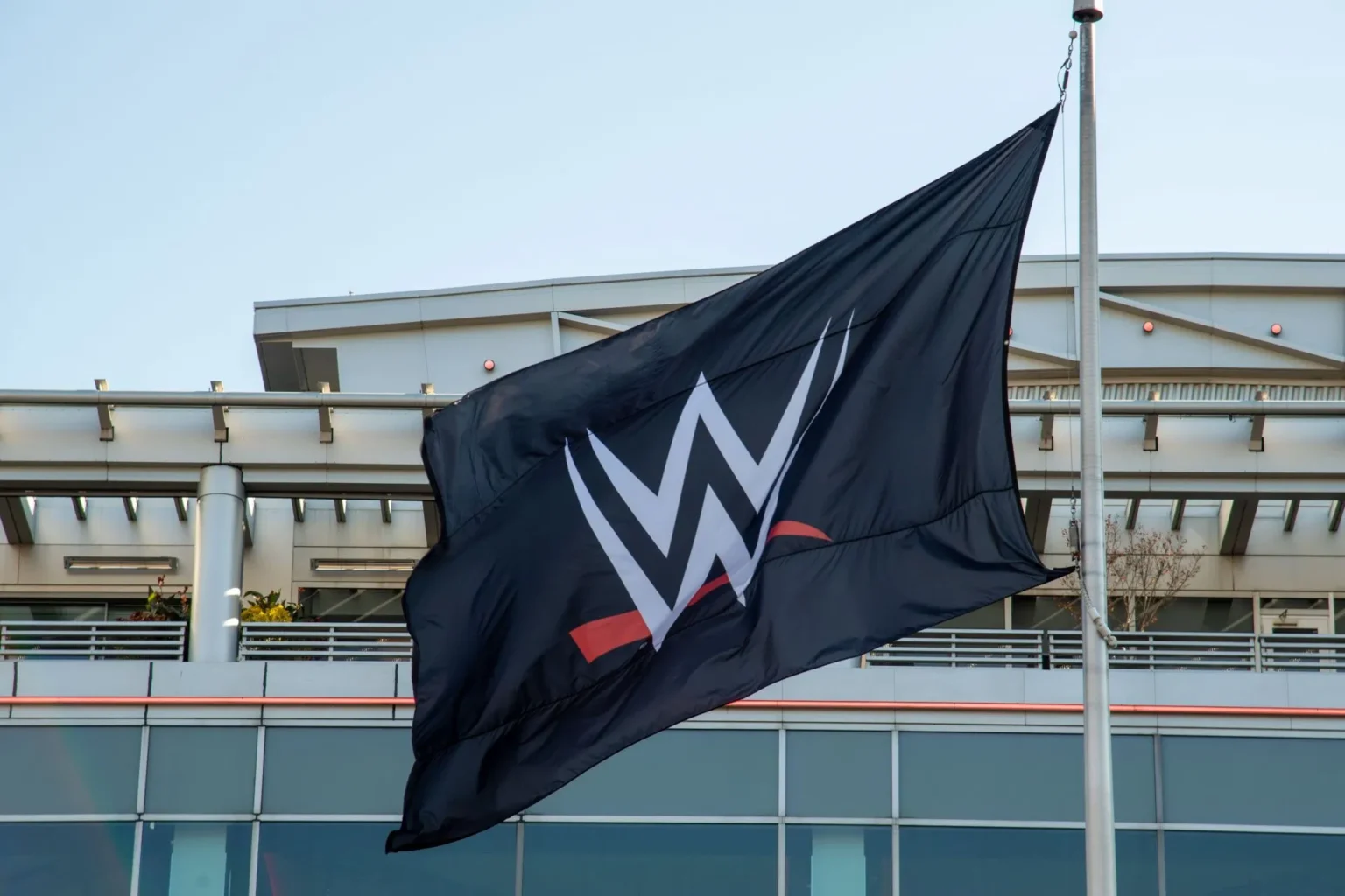WWE Flag