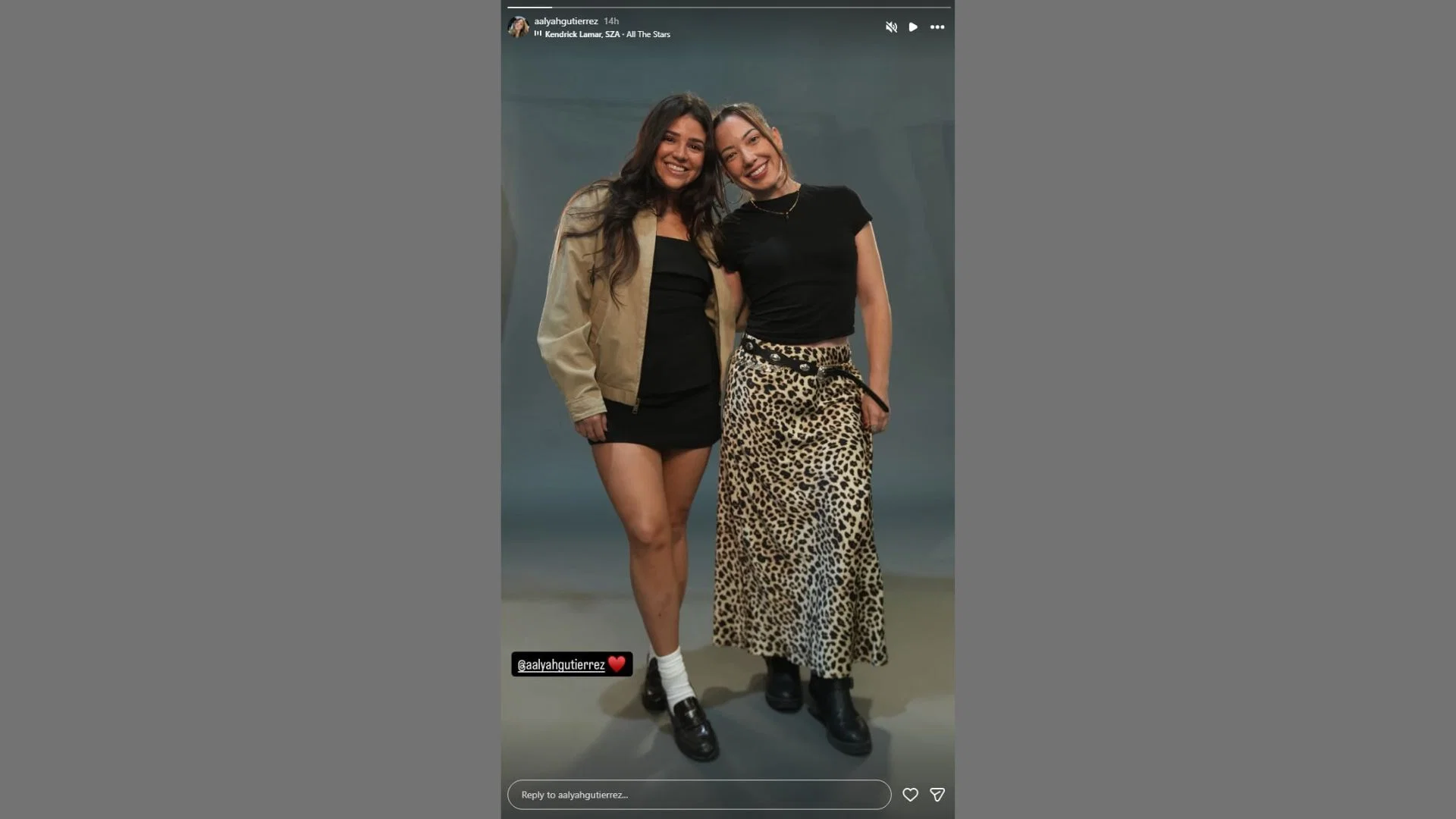 Aalyah's Instagram story