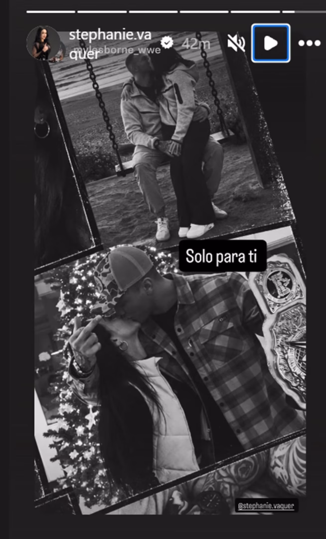 Vaquer y Borne