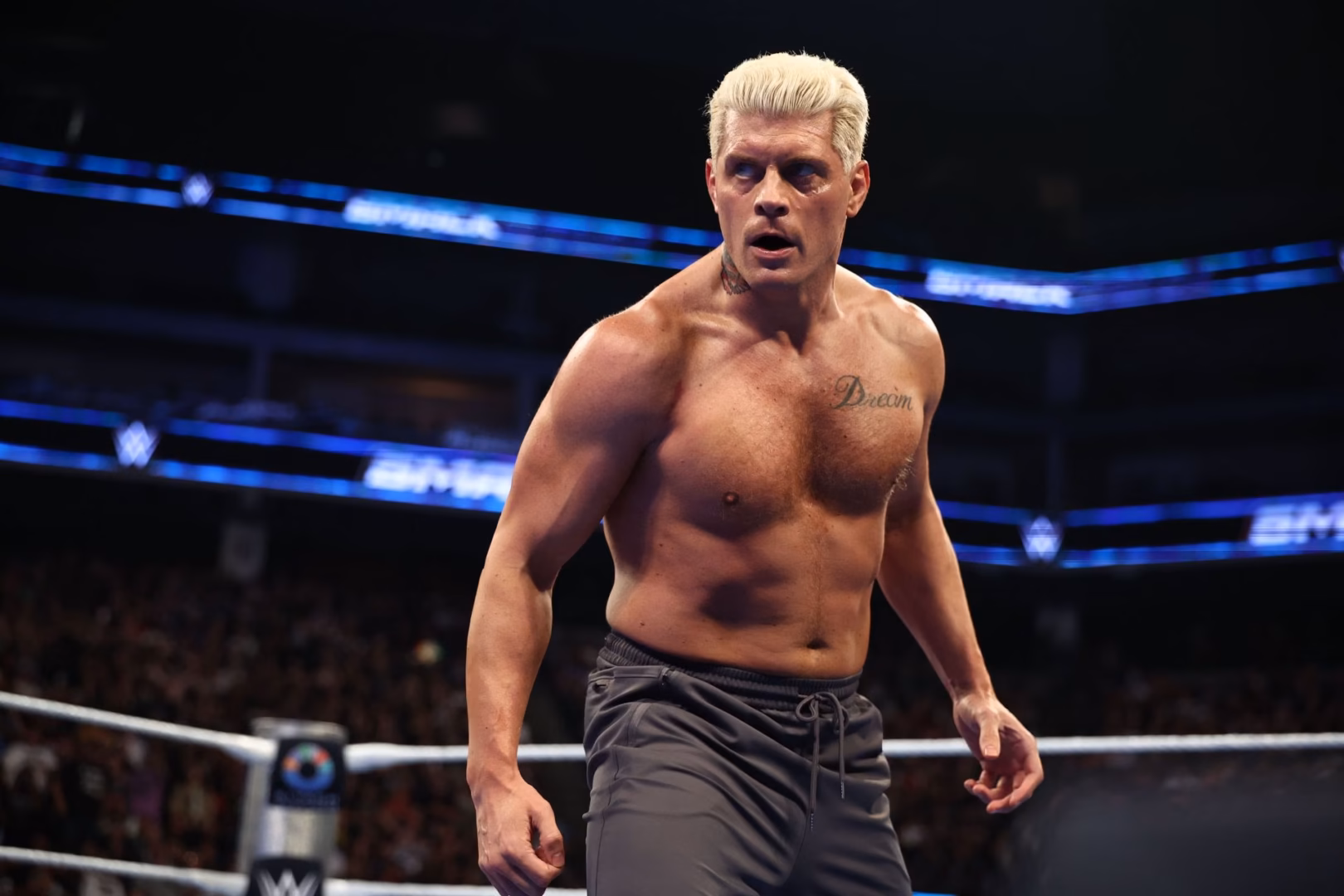 Cody Rhodes admite que los fans de WWE podrían estar cansándose de él y habla sobre cuándo se retirará Cody Rhodes