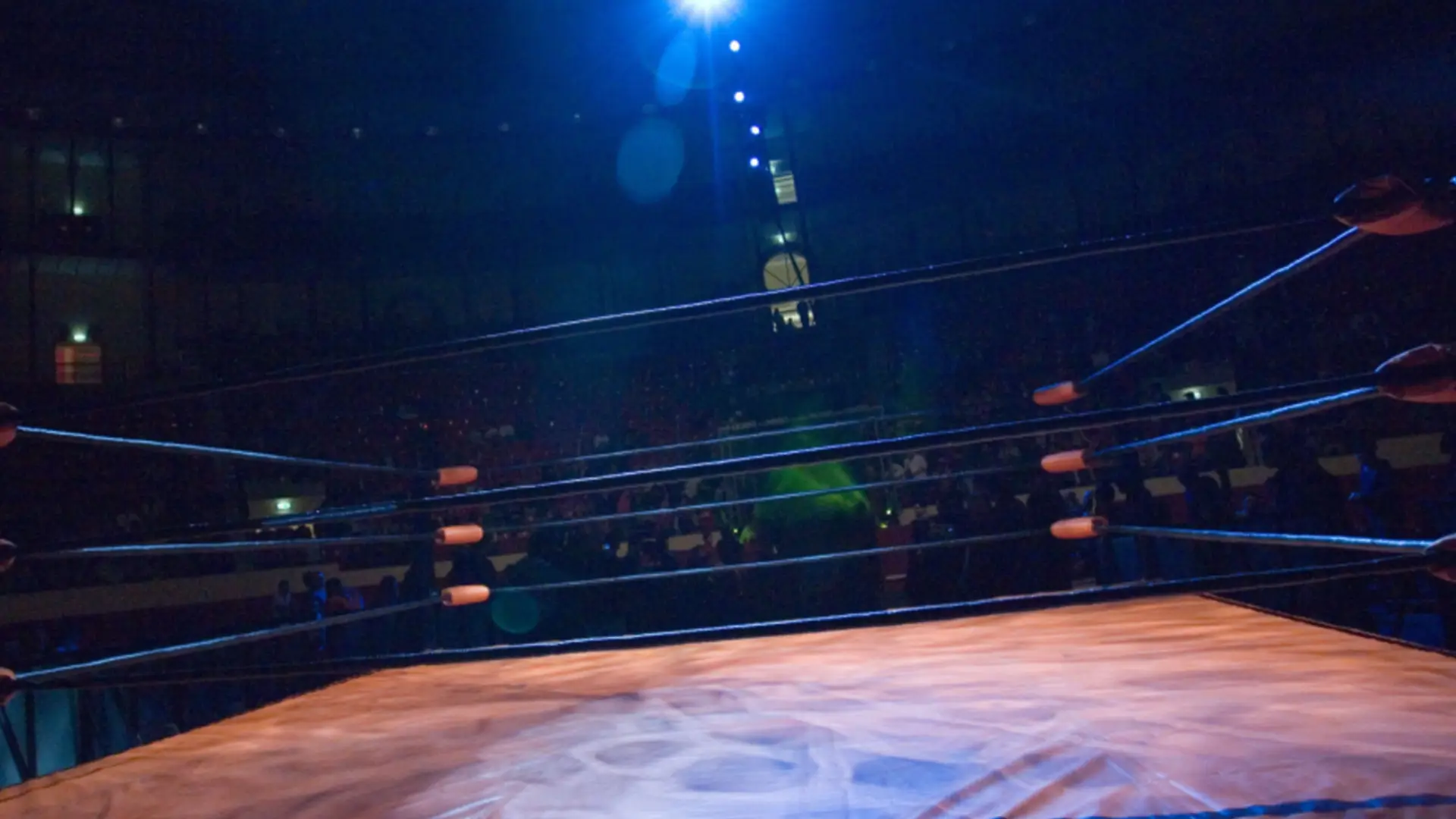 Muere a los 59 años exluchador de WWE y WCW Ring de lucha libre